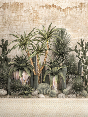Collection of tropical desert plants cactus 1108A