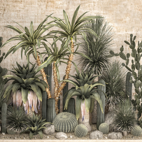 Collection of tropical desert plants cactus 1108A