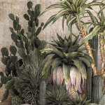 Collection of tropical desert plants cactus 1108A