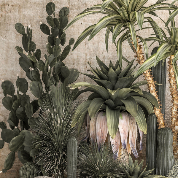 Collection of tropical desert plants cactus 1108A