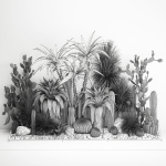 Collection of tropical desert plants cactus 1108A