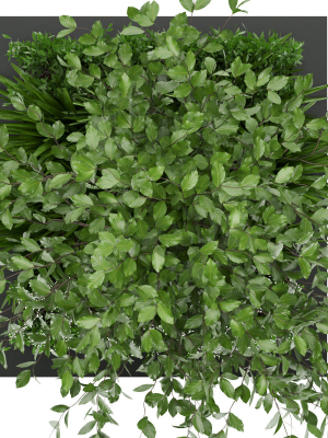 collection-plant-vol-164-3d-model-max-obj-3ds-fbx