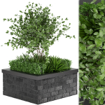 Collection plant vol 164