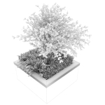 Collection plant vol 164