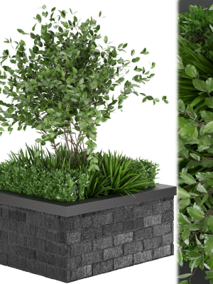 Collection plant vol 164