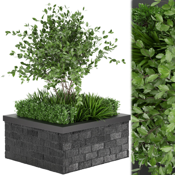 Collection plant vol 164