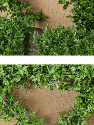collection-plant-vol-182-3d-model-max-obj-3ds-fbx