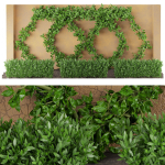 Collection plant vol 182
