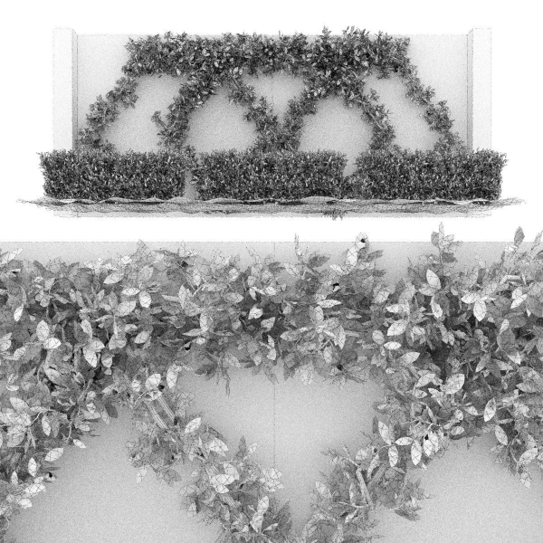 Collection plant vol 182