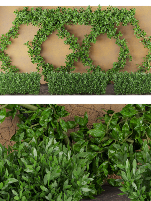 Collection plant vol 182