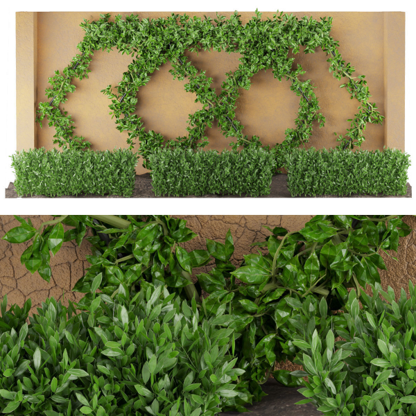 Collection plant vol 182
