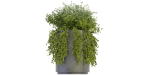 Collection plant vol 232 - blender model
