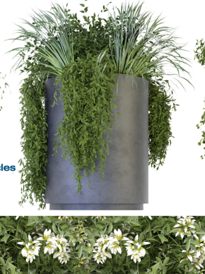 Collection plant vol 232 - blender model