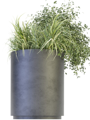collection-plant-vol-232-blender-model-3d-model-ea33adea07