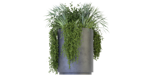 Collection plant vol 232 - blender model