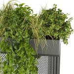 Collection plant vol 239