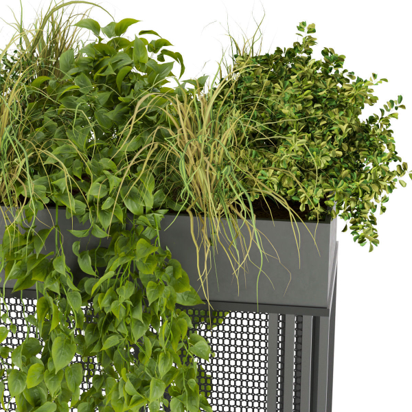 Collection plant vol 239