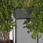 Collection plant vol 239