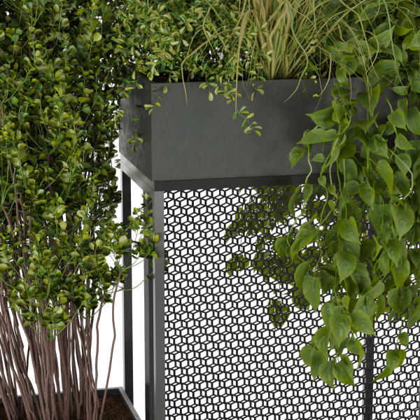 Collection plant vol 239