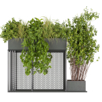 Collection plant vol 239