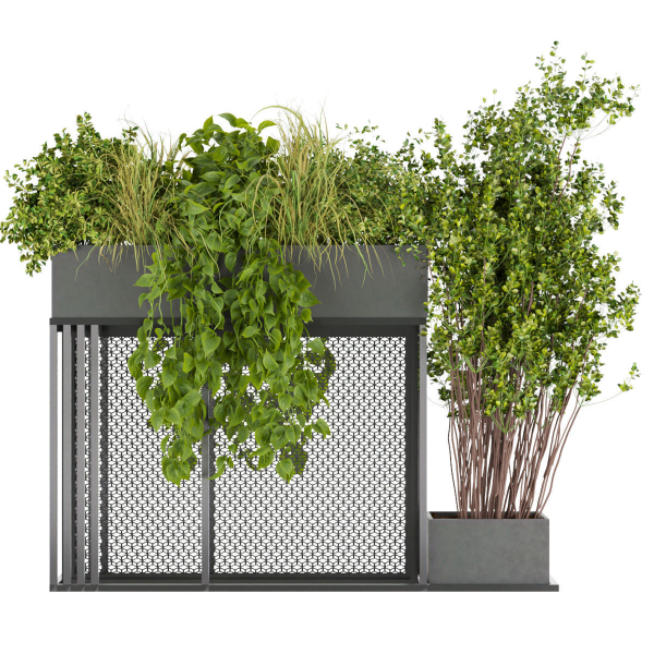 Collection plant vol 239