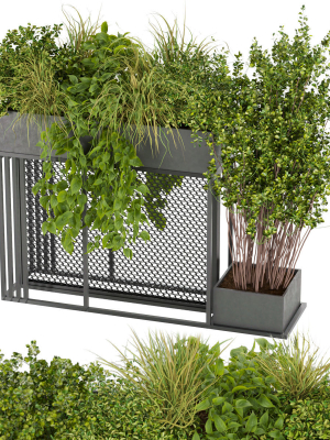 Collection plant vol 239