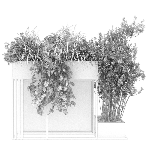 Collection plant vol 239