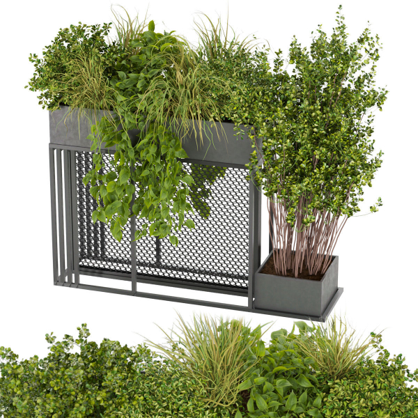 Collection plant vol 239