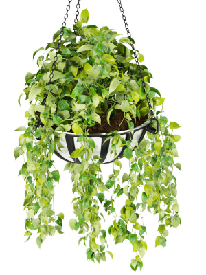 collection-plant-vol-240-3d-model-max-obj-3ds-fbx