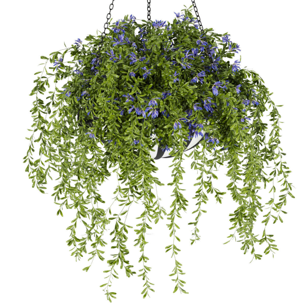 Collection plant vol 240