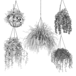 Collection plant vol 240