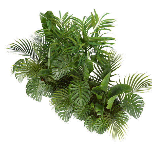 Collection plant vol 300 - outdoor - banana - monstera - leaf