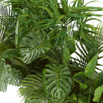 Collection plant vol 300 - outdoor - banana - monstera - leaf