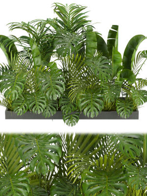 Collection plant vol 300 - outdoor - banana - monstera - leaf