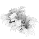 Collection plant vol 300 - outdoor - banana - monstera - leaf