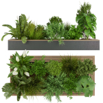 Collection plant vol 313 - outdoor - leaf