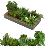 Collection plant vol 313 - outdoor - leaf