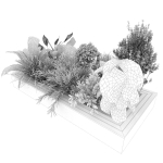 Collection plant vol 313 - outdoor - leaf