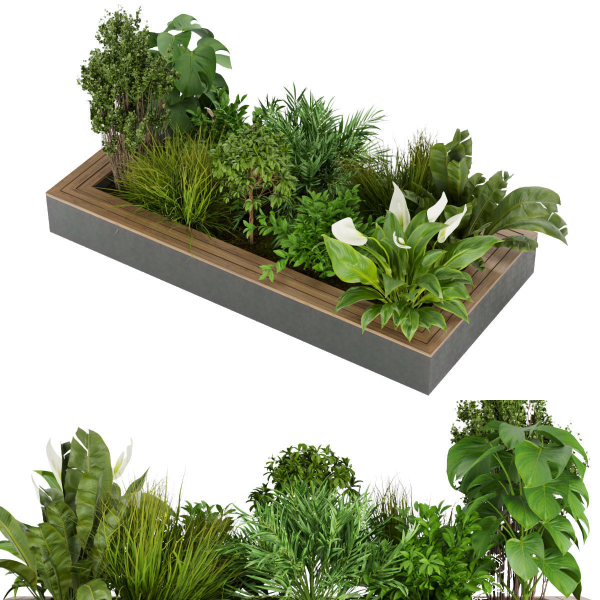 Collection plant vol 313 - outdoor - leaf