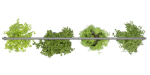 Collection plant vol 360  - blender model