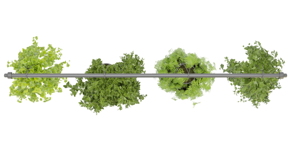 Collection plant vol 360  - blender model