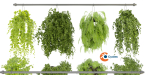 Collection plant vol 360  - blender model