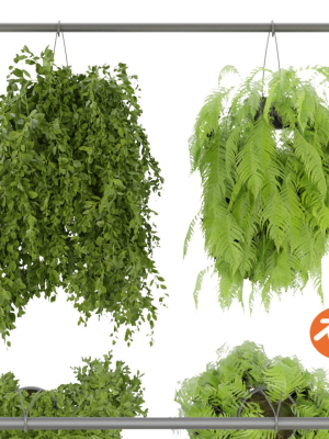 Collection plant vol 360  - blender model