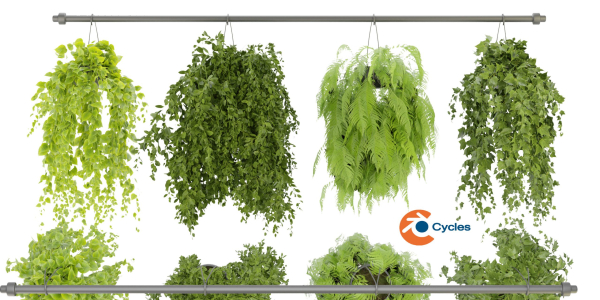 Collection plant vol 360  - blender model