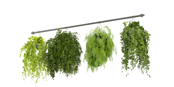 Collection plant vol 360  - blender model