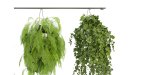 Collection plant vol 360  - blender model