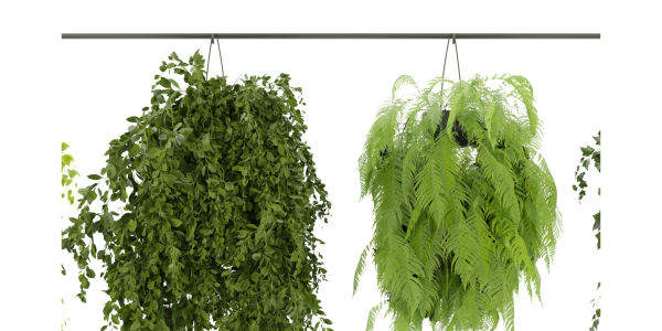 Collection plant vol 360  - blender model