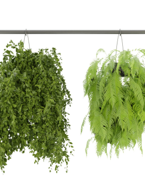 collection-plant-vol-360-blender-model-3d-model-d09f970c7e