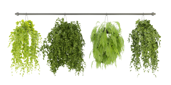 Collection plant vol 360  - blender model