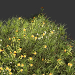 Collection plant vol 374 - grass - leaf - flower